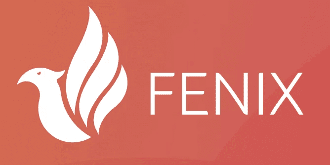 Оплата покупки на FenixSim
